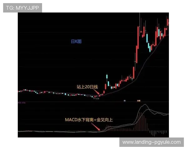 探索最新的AG国际官方入口信息助您轻松进入可信赖的线上娱乐平台