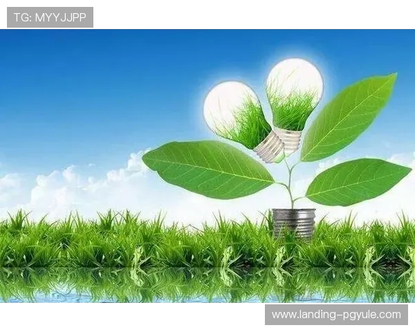 皇冠ag旗舰品牌战略布局助力行业持续健康发展 皇冠ag旗舰品牌战略布局助力行业持续健康发展