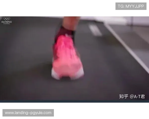 全面解析bob真人体育的优势与特色，助你轻松掌握最新体育博彩玩法与技巧